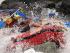 Tully River Rafting - 