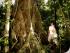 Ferntree Rainforest Lodge -