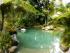 Ferntree Rainforest Lodge -
