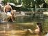 Coconut Beach Resort -