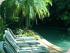 Palm Villas - 