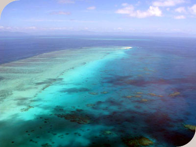 Reef Experience - 