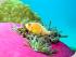 Reef Experience - 