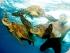 Reef Experience - 