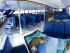 Reef Experience - 