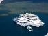 Reef Experience - 