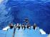 Reef Experience - 