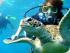 Reef Experience - 