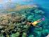 Reef Experience - 