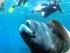 Reef Experience - 