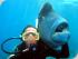 Reef Experience - 