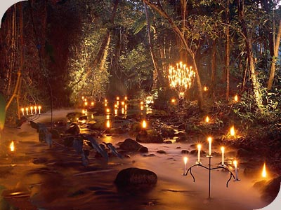 Flames of the Forest - 