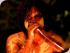Flames of the Forest -