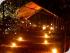 Flames of the Forest -