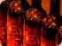 Flames of the Forest -