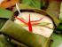 Flames of the Forest -