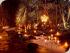 Flames of the Forest -