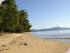 Daintree Wonder Tours - Cape Tribulation Beach