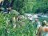Cape Trib Connections -