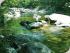 Cape Trib Connections -