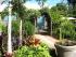 Eden House - GARDEN WALK TO COTTAGE