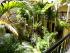 Villa Vaucluse - INNER CITY OASIS