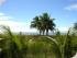 Beachfront Hideaway - BEACH VIEWS