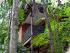 Sanctuary Retreat - Canopy Cabin