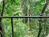 Sanctuary Retreat - RAINFOREST SURROUNDS