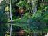 Kewarra Beach Resort - 