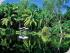 Kewarra Beach Resort - 