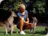 Wildlife Habitat - 