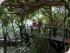 Wildlife Habitat - 