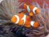Cruise Whitsundays - 