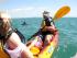 Kayak Noosa - DOLPHIN ADVENTURE
