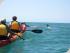 Kayak Noosa - DOLPHINS CLOSE UP