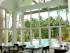 Sheraton Mirage Resort -