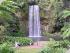 Cape Trib & Tablelands Combo -