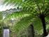 Cape Trib & Tablelands Combo -