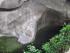 Cape Trib & Tablelands Combo -