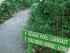 Cape Trib & Tablelands Combo -