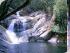 Cape Trib & Tablelands Combo -