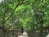 Cape Trib & Tablelands Combo -