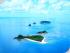 Frankland Island Transfers -