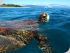 Frankland Island Transfers -