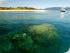 Frankland Island Transfers -
