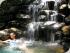 Thala Beach Lodge -