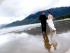 Thala Beach Lodge -