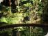 Daintree Wilderness Lodge - 