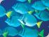 Fantasea Reefworld -